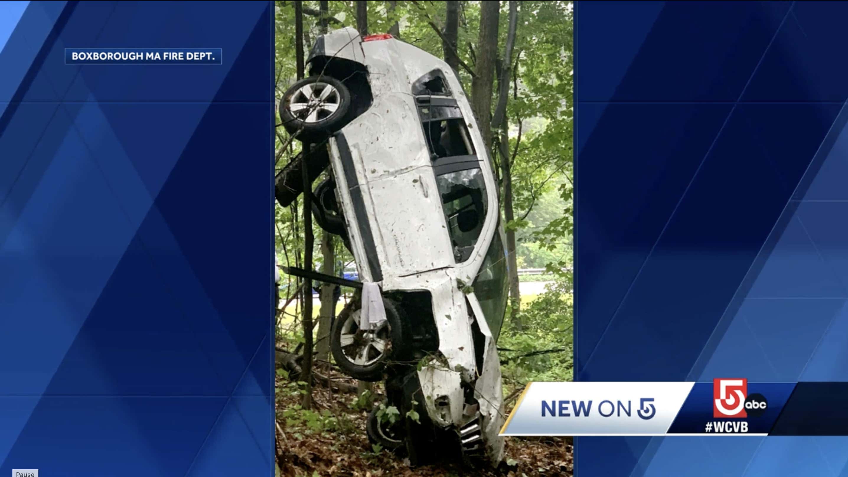 マサチューセッツ州ボックスボロの車が木に引っかかってしまう